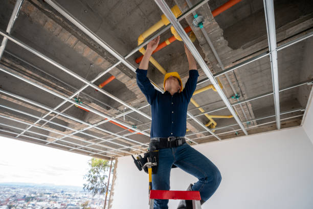 Best Leak Detection Services  in Dianapolis, IN